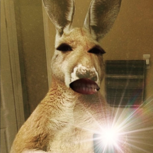 Meet your Posher, Fernanda - Picture 1 of 1